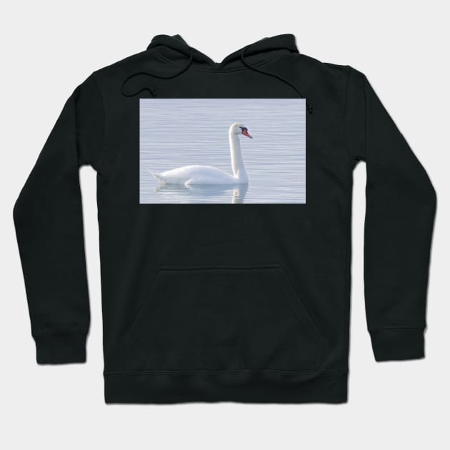 Mute Swan Swimming Hoodie by Jim Cumming